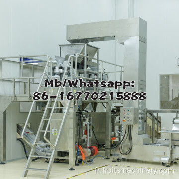 Machine de fabrication de jus de fruits commerciaux à petite échelle
